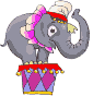 слон в цирке