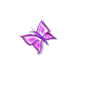 розовая анимированная бабочка