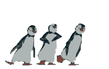 пингвины танцуют